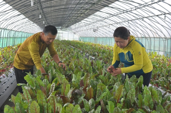 농기-ICT활용 친환경-권용안 농가