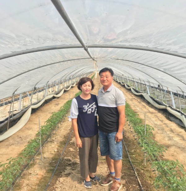 강현천·곽순옥씨 부부