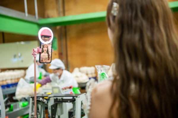 경북 청도 버섯농장에서 생중계 중인 왕홍 샤오청즈텐텐텐