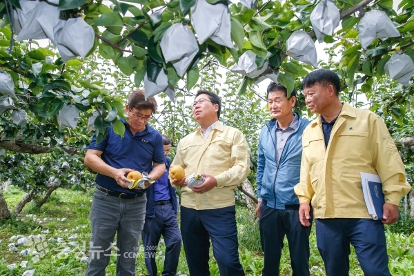 오세현 아산시장이 둔포면 배 재배 농가를 찾아 피해상황을 점검하고 관련대책을 논의하고 있다.