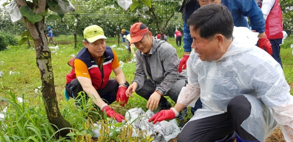세분 작업사진은 왼쪽부터 조소행 충남농협본부장, 류병관 농협노조충남위원장, 박성규 천안배원예농협조합장입니다.