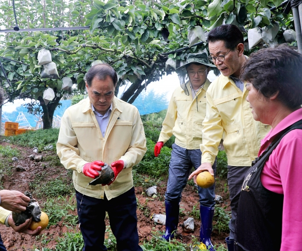 김인식 사장은 9일 태풍 링링으로 낙과피해를 입은 나주 배농가를 찾아 피해현황을 점검하고, 전 직원과 함께 영농피해 농가를 위해 조속한 피해복구를 돕겠다고 말했다.