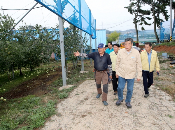 태안읍 과수 낙과 피해 현장을 찾은 가세로 태안군수