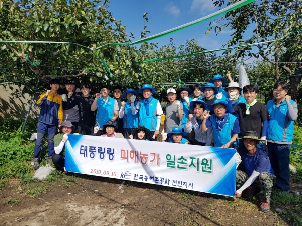 태풍 피해농가 일손지원(천안지사)