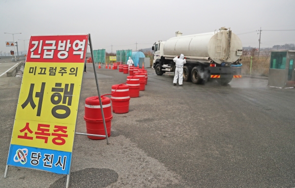 아프리카돼지열병 방역 활동