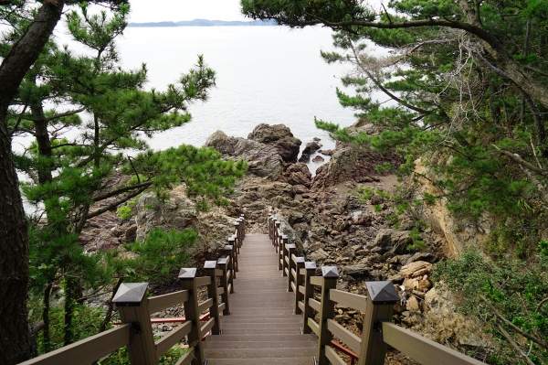 장고도 둘레길.