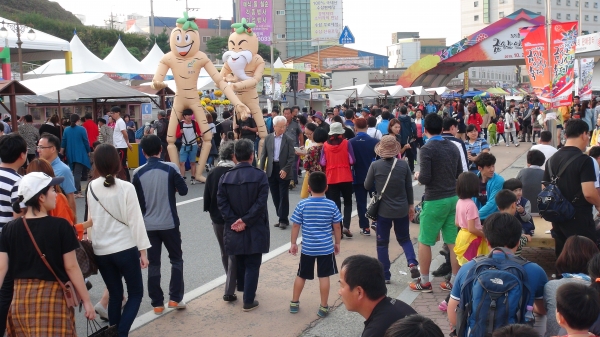 제38회 금산인삼축제(9월27일~10월6일), 지난 축제 현장 모습