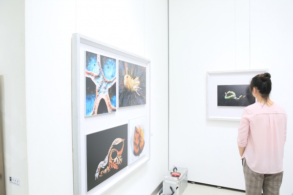 보령예술제(사진전시회)