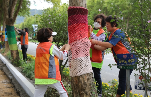 가로수 색동옷 입히기 행사 모습