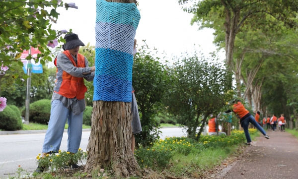 가로수 색동옷 입히기 행사 모습