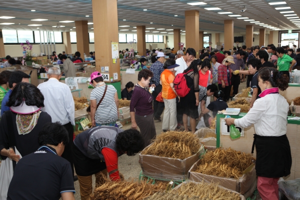 인삼축제서 알뜰쇼핑 즐기기-수삼시장