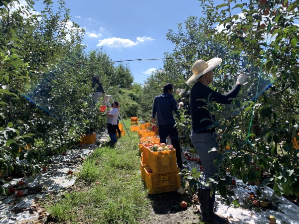 가을철 농촌일손돕기 추진