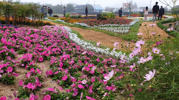 금산인삼축제 준비 척척-꽃동산