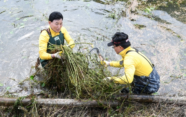 축제 성공개최 기원 하천 정화활동