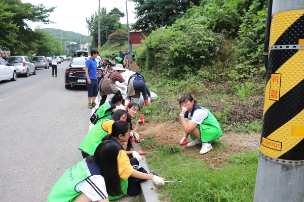당진1동 5G 프로젝트 활동 모습