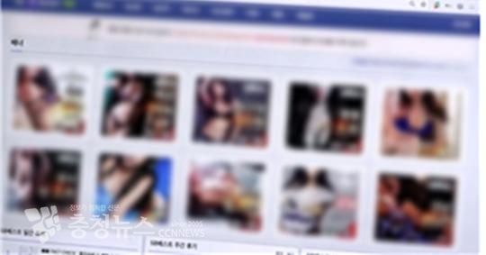 성매매 알선 사이트 (사진=KBS 추적60분 캡처)