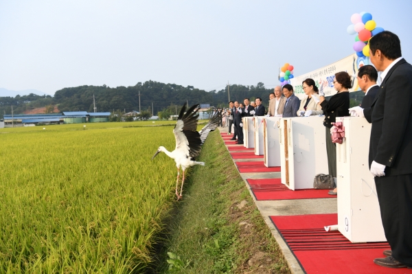 황새축제 중 진행된 황새 자연복귀 행사 모습
