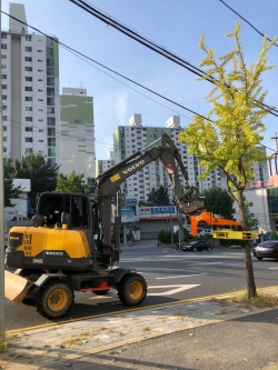 1일 보다 효율적인 가로 정비 및 은행열매 수거를 위해 새로 도입한 특수 장비를 활용해 가로변 은행 열매를 수거하는 모습.
