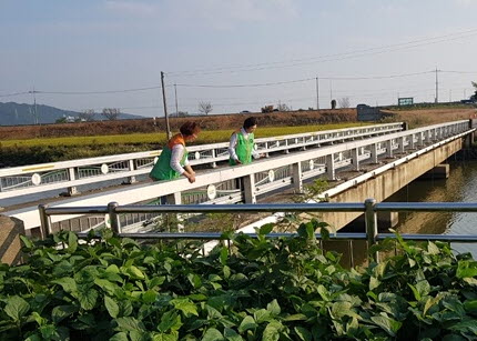 30일 자율방재단(단장 정병철)을 통해 인명피해 우려 지역의 긴급 예찰 활동을 실시해 저지대, 하천수위, 해안가 및 선박 등을 사전 점검했다