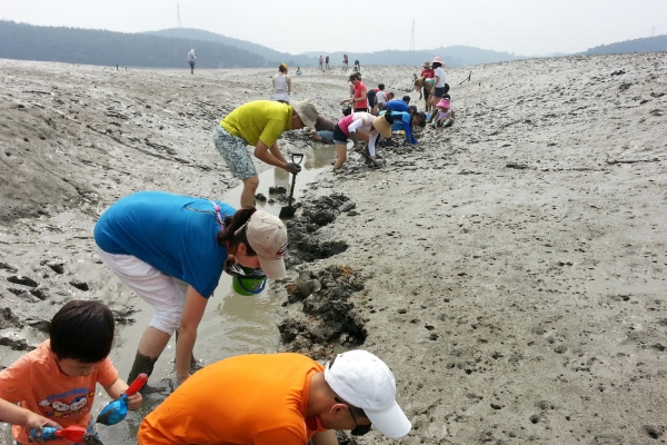 금박골 바다 체험 모습