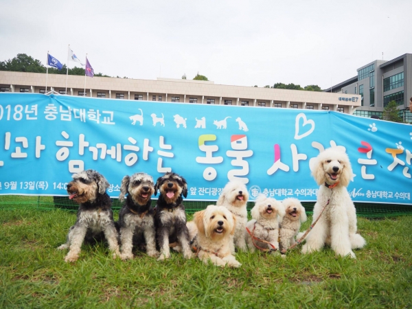 지난 2018 동물사랑 큰잔치 행사 모습