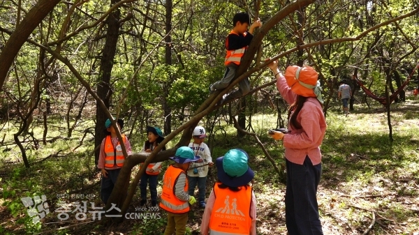 세종시 유치원에서 유아들이 체험학습을 진행하고 있는 장면.
