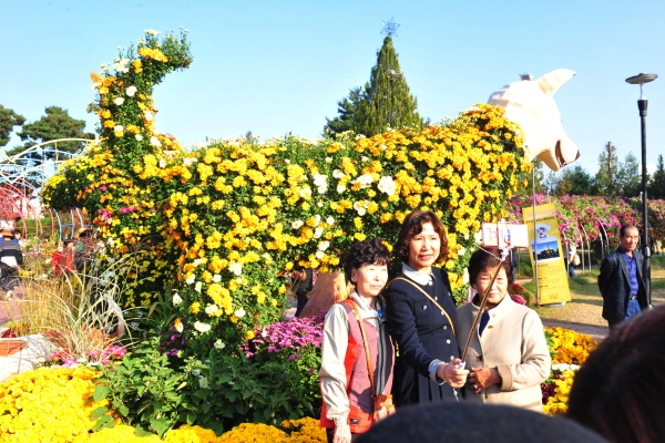 지난해 국화전시회 모습