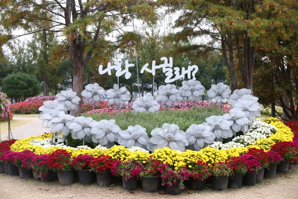 지난해 국화전시회장 모습