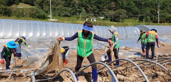 계룡시자율방재단 태풍피해지역 응급복구지원