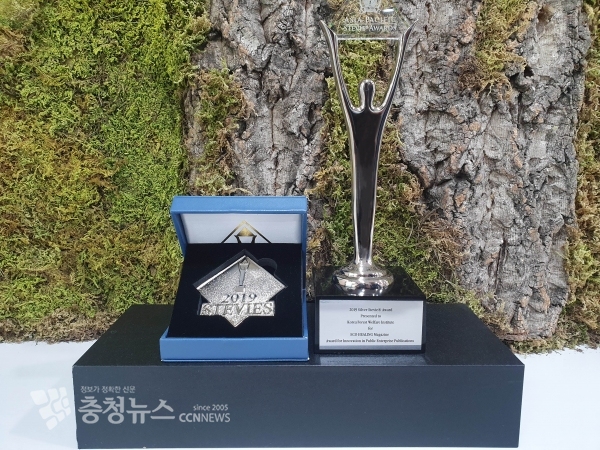 에코힐링, 아시아태평양스티비상 수상