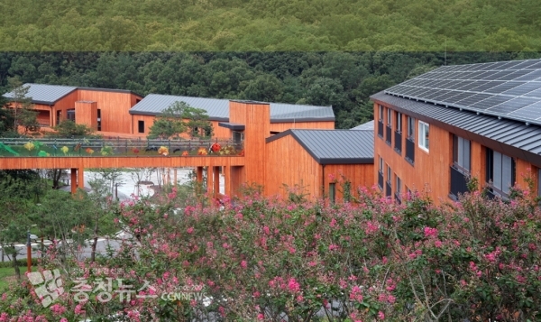 데크로드에서 바라본 국립대전숲체원