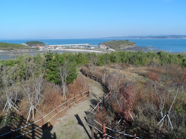 홍성군 죽도 둘레길 모습