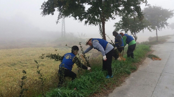 광천로터리클럽 무궁화나무 식재 모습