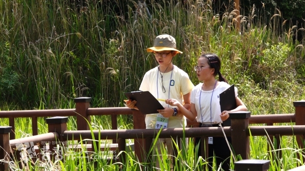 지난 6월 세종시 원수산 일원에서 진행한 자연관찰탐구대회 세종예선에서 학생들이 진지한 모습으로 참여하고 있다.