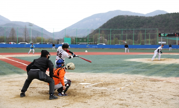 지난 야구대회 모습