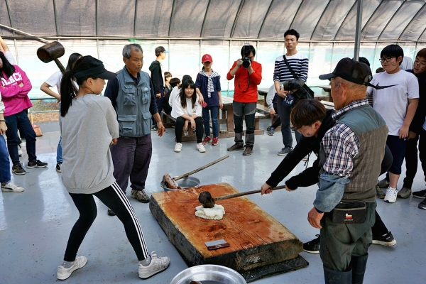 올해로 스무해를 맞는 도농교류협력사업 단체로 선정된 서울 염경초 학생들이 인절미만들기를 하며 농촌체험활동을 하고 있다
