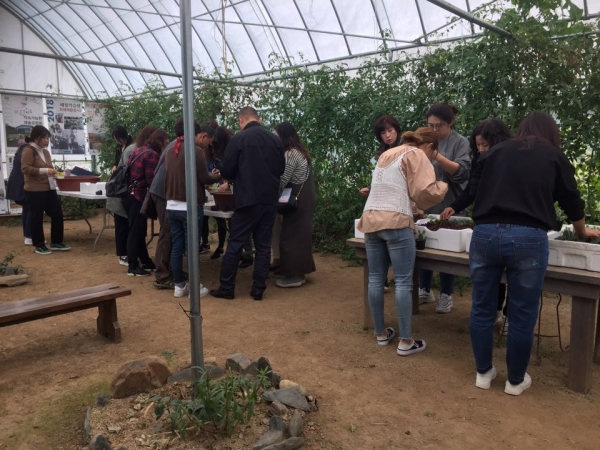 가족지원(다육식물심기)