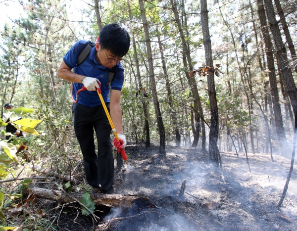 올해 원북면 이곡리 산불 진화 모습.