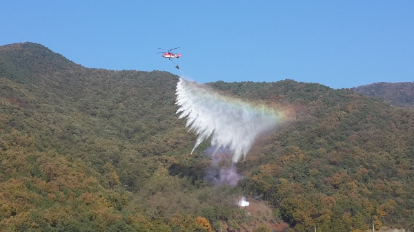 산불진화훈련 참고 사진