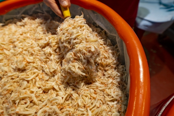 홍성군 광천토굴새우젓