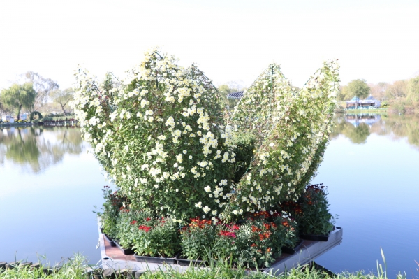 국화전시회 전경