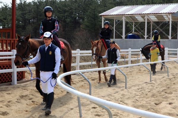 홍성군 유소년승마단 창단한다_학생승마 체험 사진