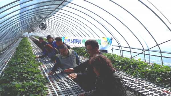 금산군, 2019년 소득작목 종합평가회 개최