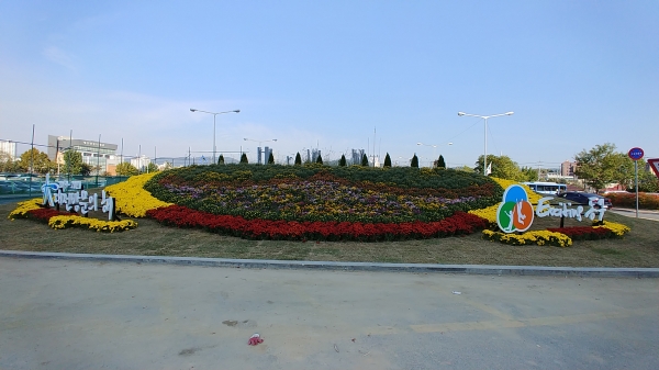 대전역 동광장 전면 교통섬에 설치된 디자인화단 모습