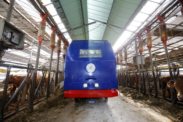 안면읍 한 축산농가의 ‘자율주행형 사료 급이로봇’ 모습.