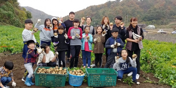 동해리 보리감자마을 팜파티