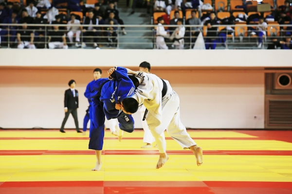 2019 회장기 전국 유도대회