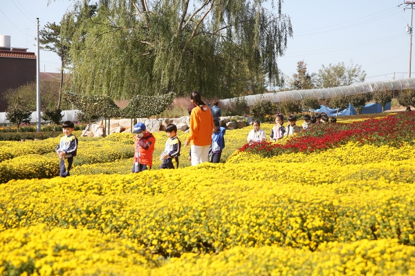 제22회 서산국화축제 모습