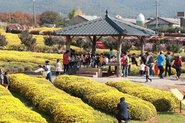 제22회 서산국화축제 모습