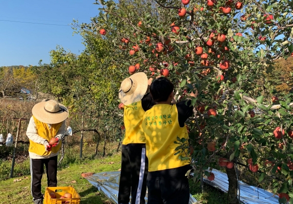사과농사-봉사활동
